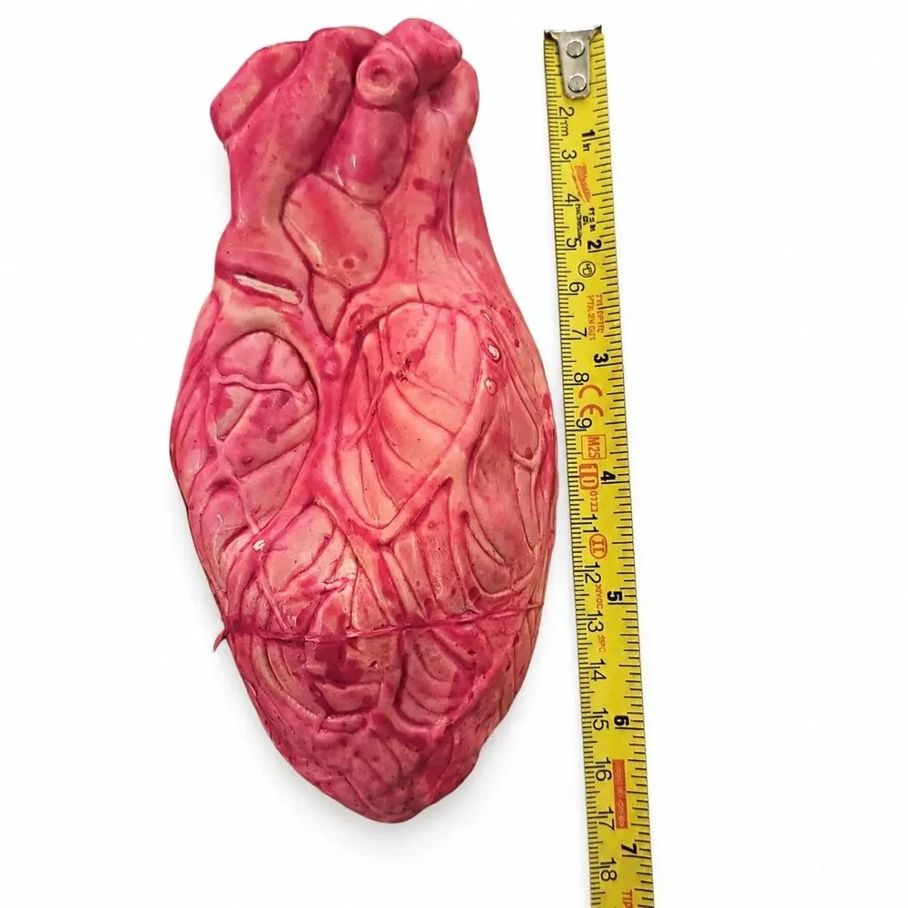Lot of 3 Anatomical Human Heart Models 6.5” Medical Halloween Decor Props